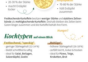 Erdäpfel - die Stärke genauer betrachtet
