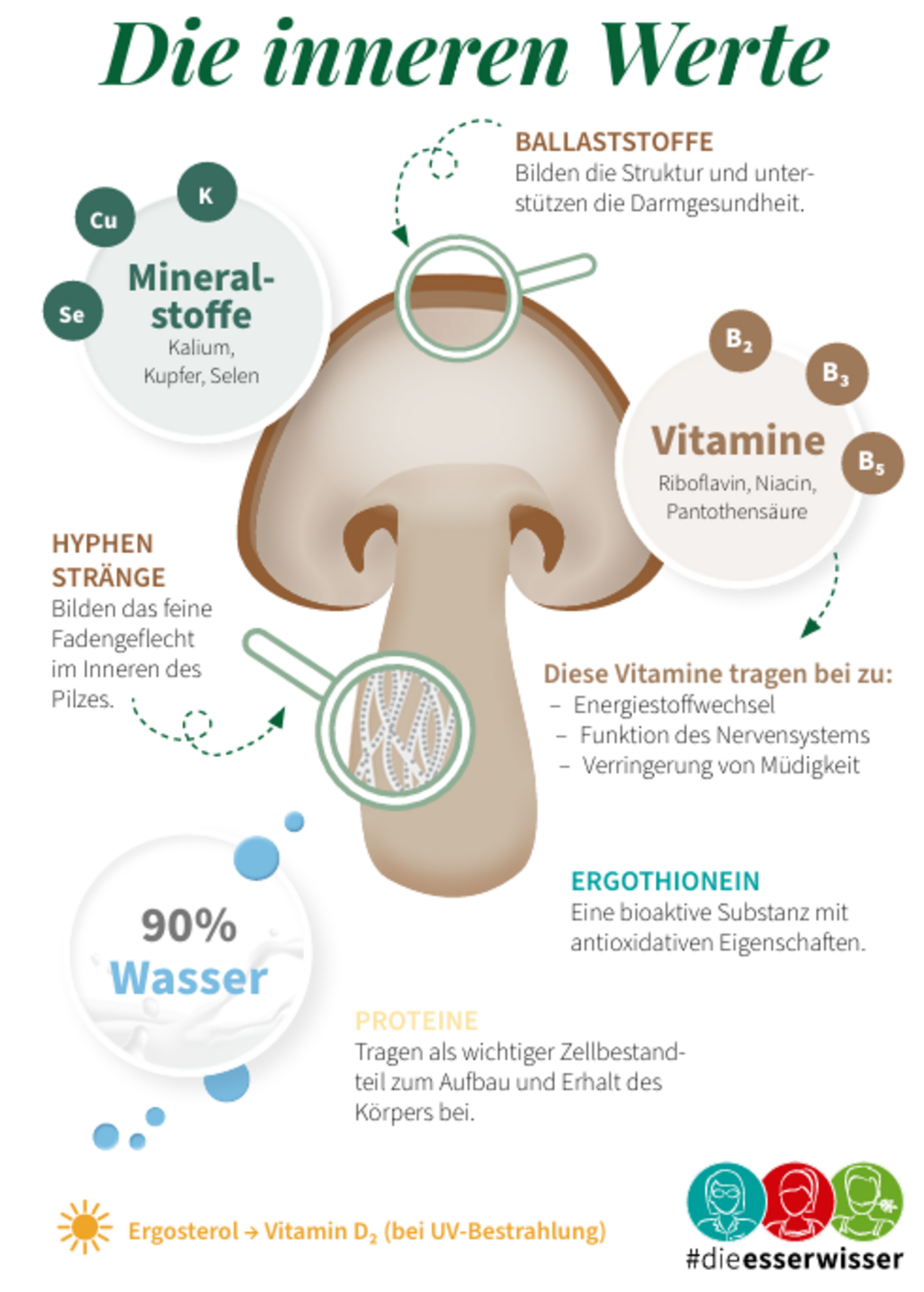 Infografik zeigt große Pilz mit Nährstoff-Beschriftung