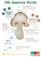 Infografik zeigt große Pilz mit Nährstoff-Beschriftung