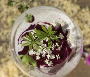 Hirsecreme im Glas mit lila Blüten garniert 