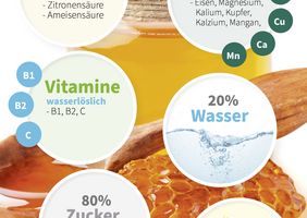 Honig - die inneren Werte