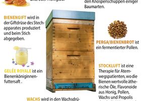 Produkte aus dem Bienenvolk