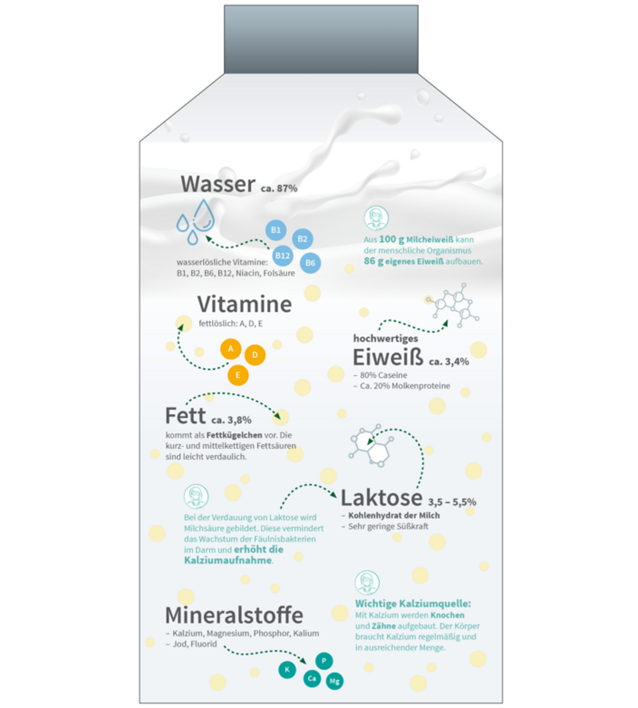 Infografik zeigt eine Packung Milch und beschreibt die Inhaltsstoffe